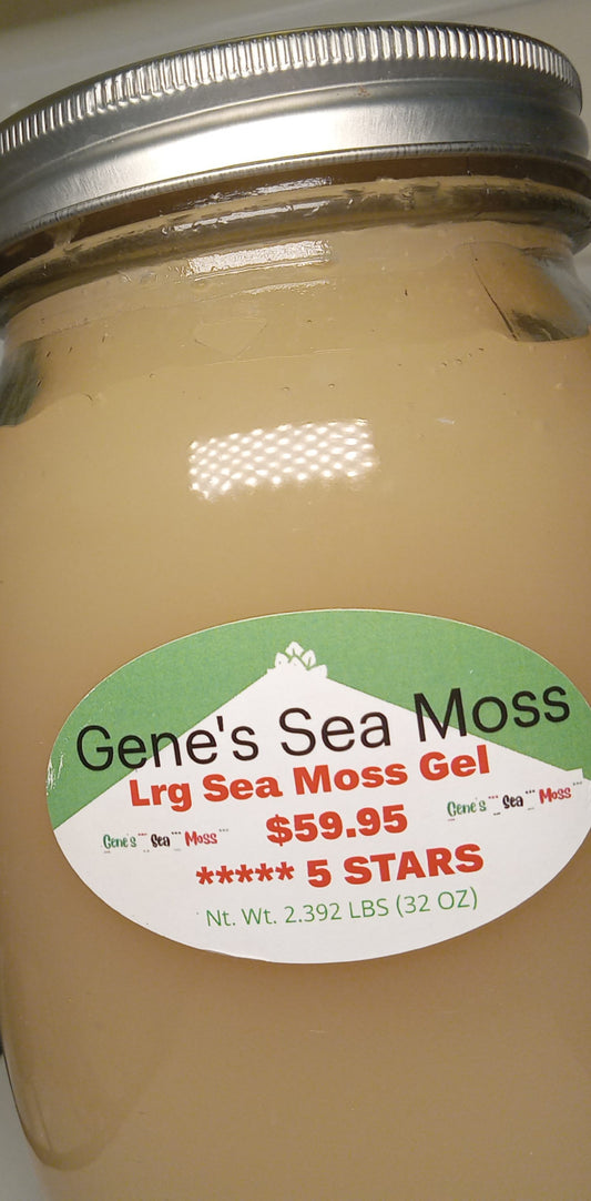 SEA MOSS GEL 32 oz Jar